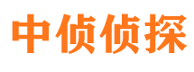 潢川市调查公司